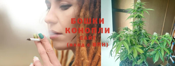 крисы Майский