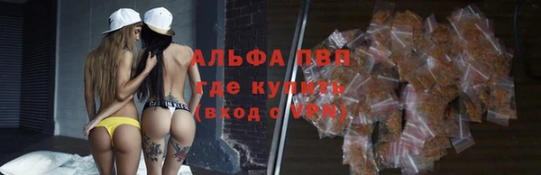 индика Магадан