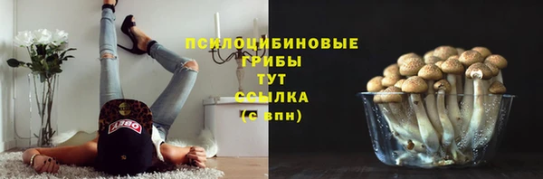 крисы Майский