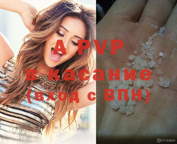крисы Майский
