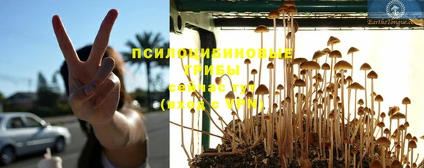крисы Майский
