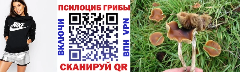 Галлюциногенные грибы MAGIC MUSHROOMS  kraken зеркало  Хабаровск 