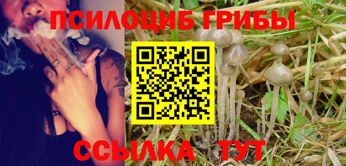 Галлюциногенные грибы прущие грибы  Хабаровск 
