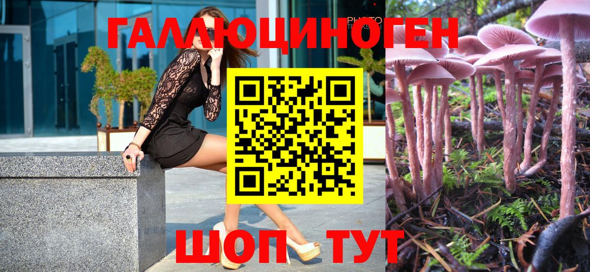 Галлюциногенные грибы MAGIC MUSHROOMS Хабаровск