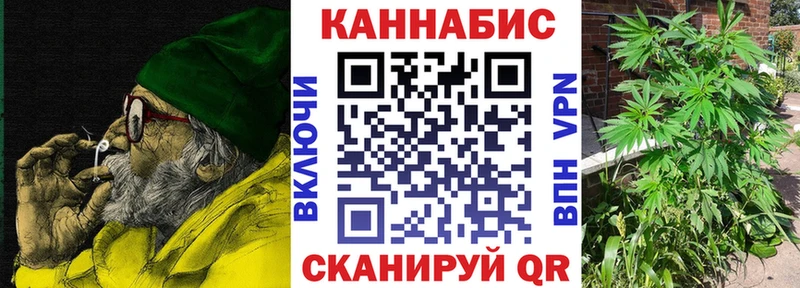 где купить   Хабаровск  Канабис Amnesia 